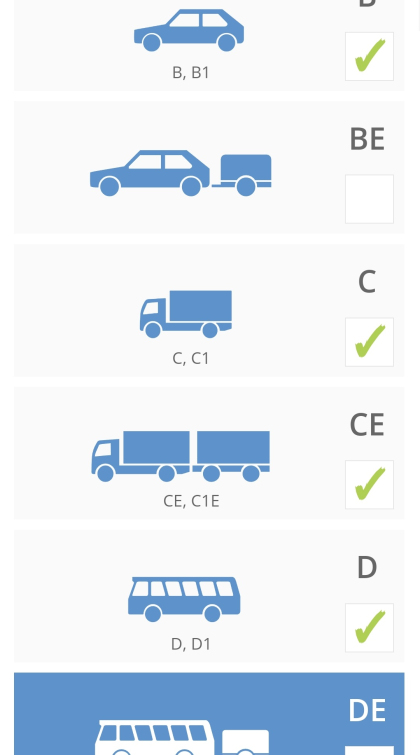 galima pasirinkti kelias kategorijas ketbilietai